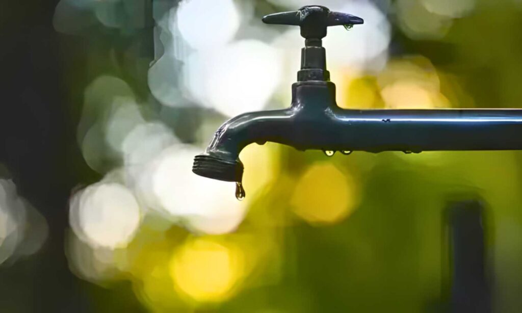 Illegal Nalla connection