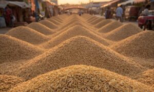Telangana paddy procurement crosses 41.6L tonnes, leads nation