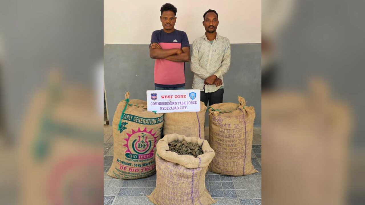 70 kg dry ganja seized in Hyderabad