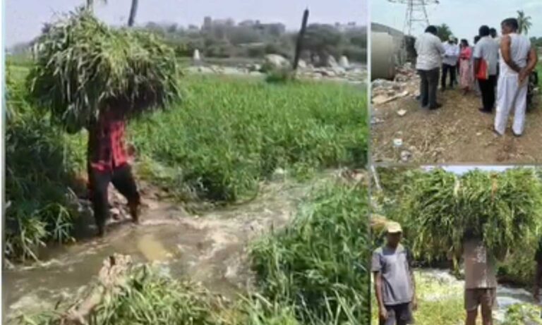 Amberpet water board negligence hits farmers, access blocked