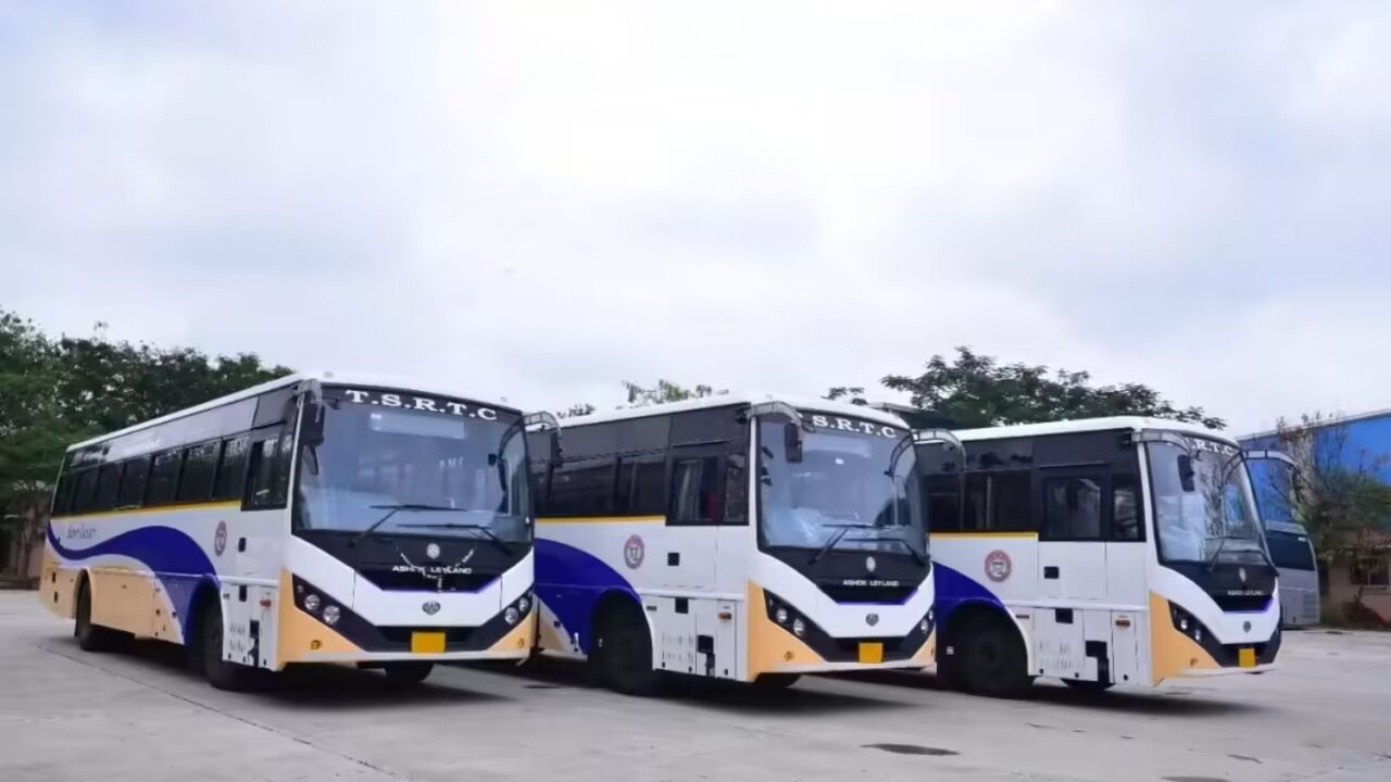 Long weekend bus fares see sharp hike